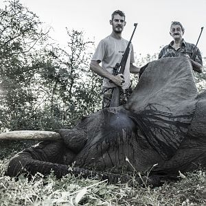 South Africa Elephant Hunt