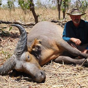 Hunting West African Savanna Buffalo Burkina Faso