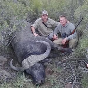 Hunting Buffalo South Africa