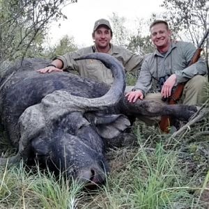 Hunting Buffalo South Africa