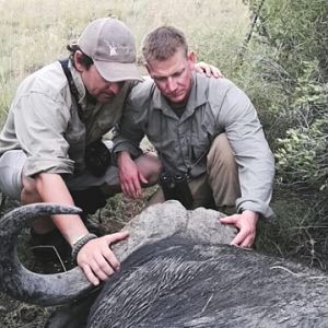 Hunting Buffalo South Africa