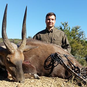 Bushbuck  Hunting South Africa