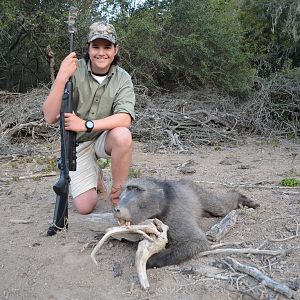 Baboon Hunt South Africa