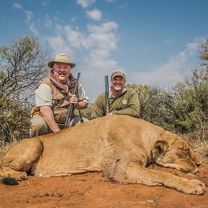 Lioness Hunt in South Africa