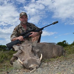 South Africa Warthog Hunt