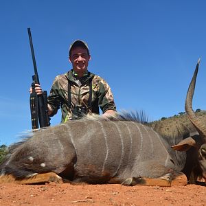 Nyala Hunt South Africa