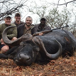 Hunting Buffalo South Africa