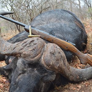 Hunting Buffalo South Africa