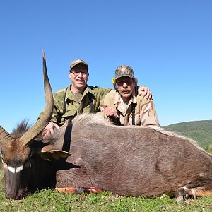 Nyala Hunt South Africa