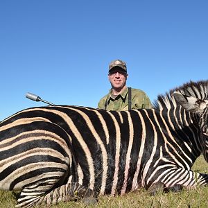 Hunt Zebra in South Africa