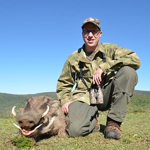 South Africa Warthog Hunt