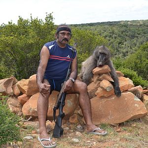 Baboon Hunt in South Africa