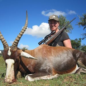 Hunting Blesbok South Africa