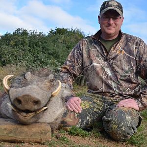 South Africa Warthog Hunt