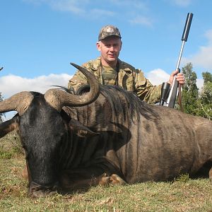 South Africa Blue Wildebeest Hunting