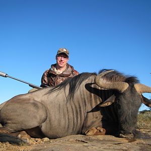 South Africa Blue Wildebeest Hunting