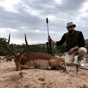 Hunting Impala South Africa