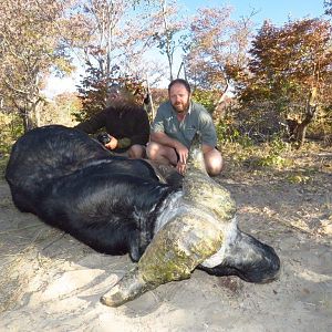 Hunting Buffalo In Namibia