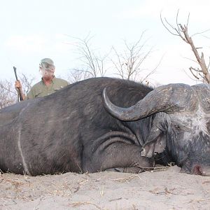 Namibia Hunting Buffalo