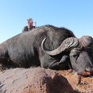 Namibia Hunting Buffalo