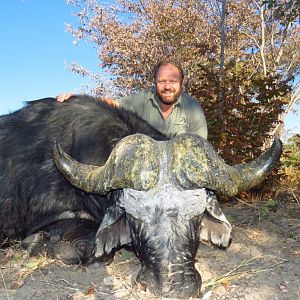 Buffalo Hunting Namibia