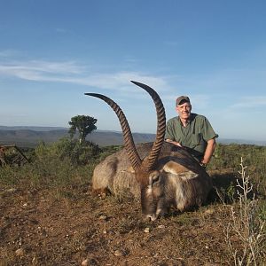 Waterbuck South Africa Hunt