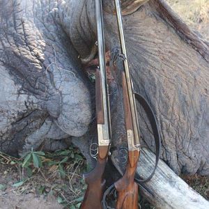 Namibia Hunting Elephant