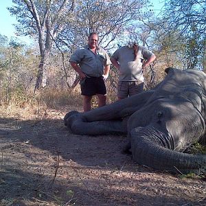 Hunting Tuskless Elephant