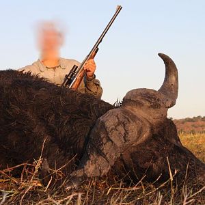 Hunting Buffalo Namibia