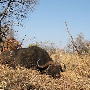 Hunting Buffalo Namibia