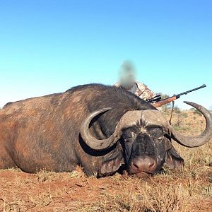 Hunting Buffalo Namibia