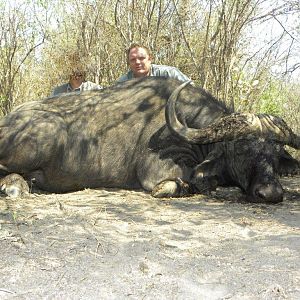 Hunting Buffalo Namibia