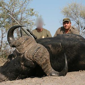 Hunting Buffalo Namibia