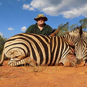 Hunt Zebra in South Africa