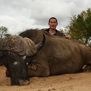 Hunting Buffalo South Africa