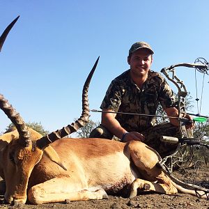 Bow Hunting Impala South Africa