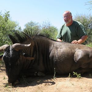 South Africa Blue Wildebeest Hunting