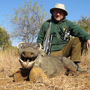 South Africa Warthog Hunt