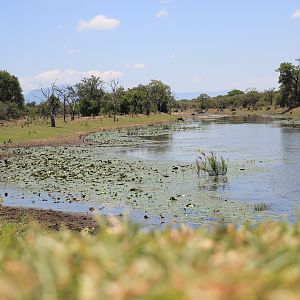 View from Bushbuck Lodge Hunting Accommodation