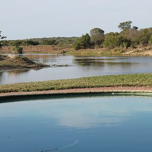 View from Bushbuck Lodge  Hunting Accommodation Pro Hunting Safaris