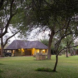 Hunting Accommodation Pro Hunting Safaris Giraffe Camp