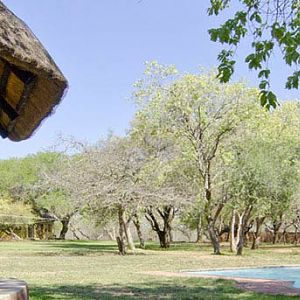 Hunting Accommodation Pro Hunting Safaris Giraffe Camp