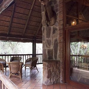 Hunting Accommodation Yellow Wood Bush Camp Pro Hunting Safaris