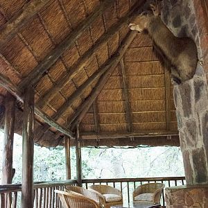 Pro Hunting Safaris Hunting Accommodation Yellow Wood Bush Camp