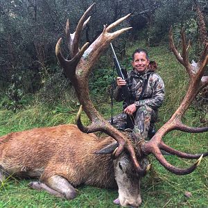 Hunting Red Stag New Zealand