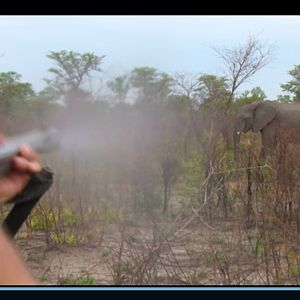 Hunting Namibia