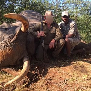 Elephant Hunt Gonarezhou Safari Area Zimbabwe