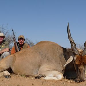 Eland Bull Hunting