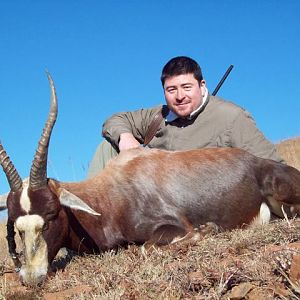 Hunting Blesbok