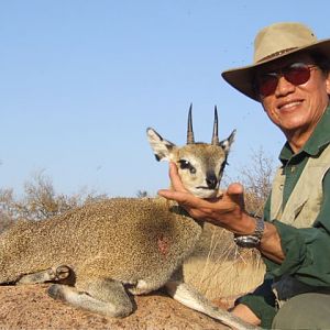 Klipspringer Hunt